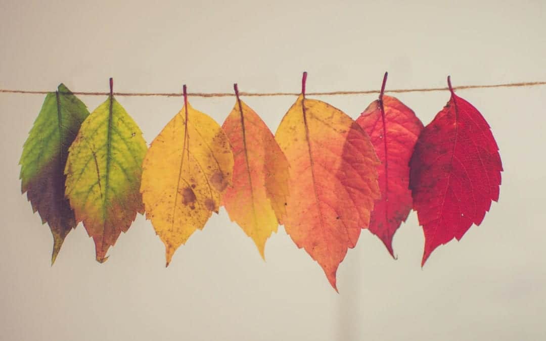 Calls To Worship on Compassion