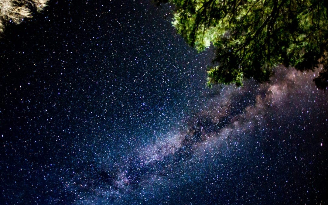 Calls To Worship on Creation