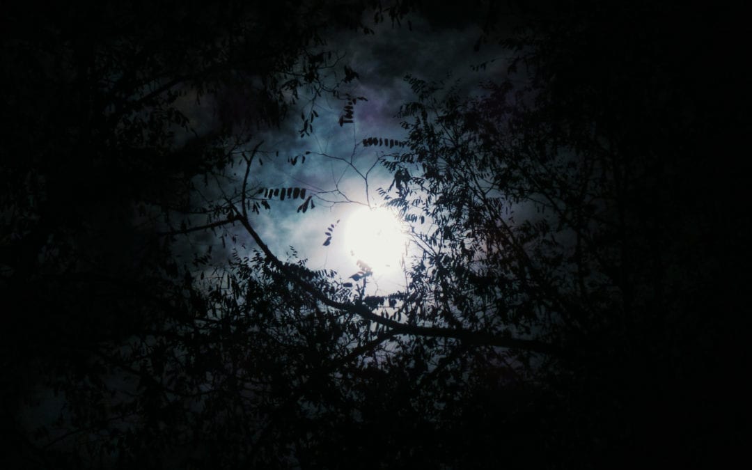 Calls to Worship on Darkness