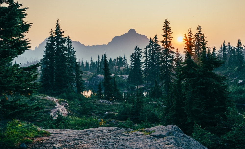 Calls to Worship on Dwelling Place