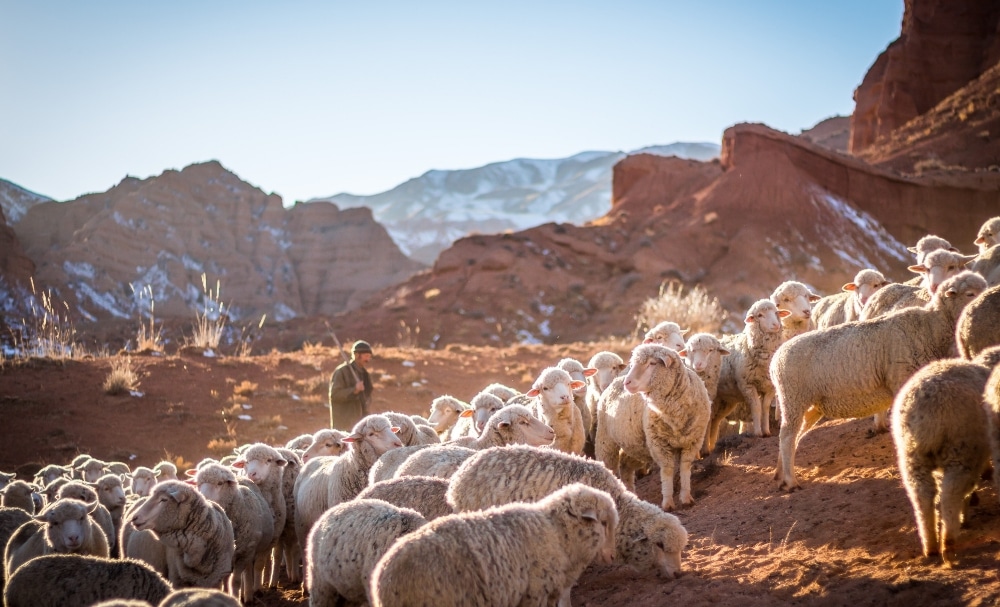 Calls to Worship on the Lamb of God