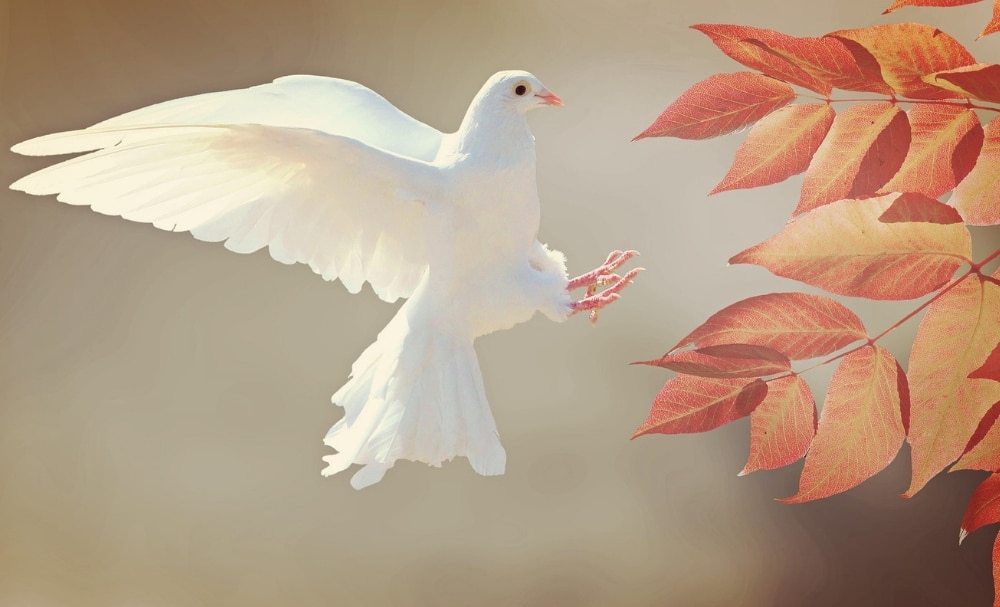 Calls to Worship on God’s Presence