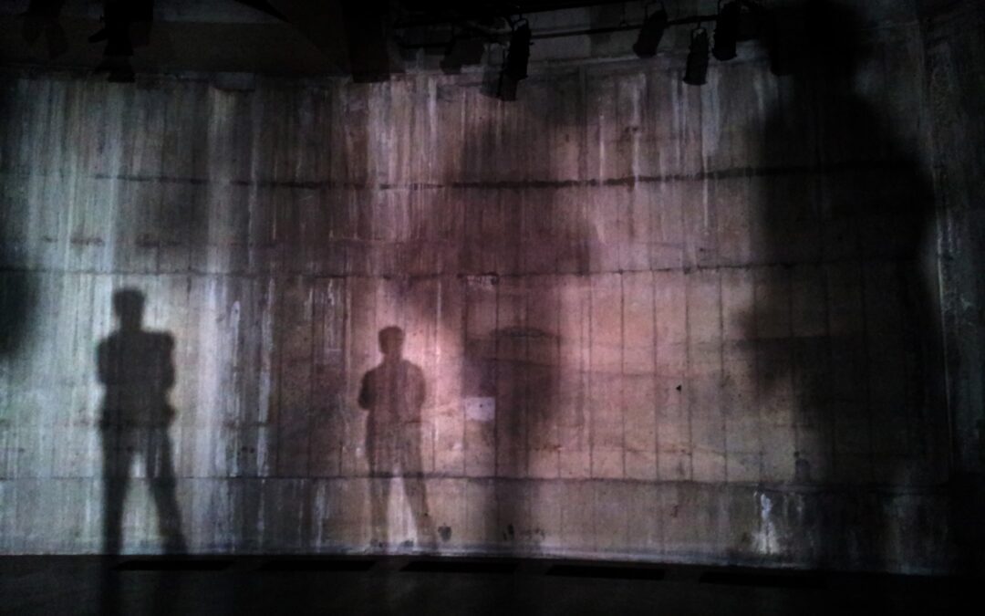 Don’t Let Your Shadow Defeat You
