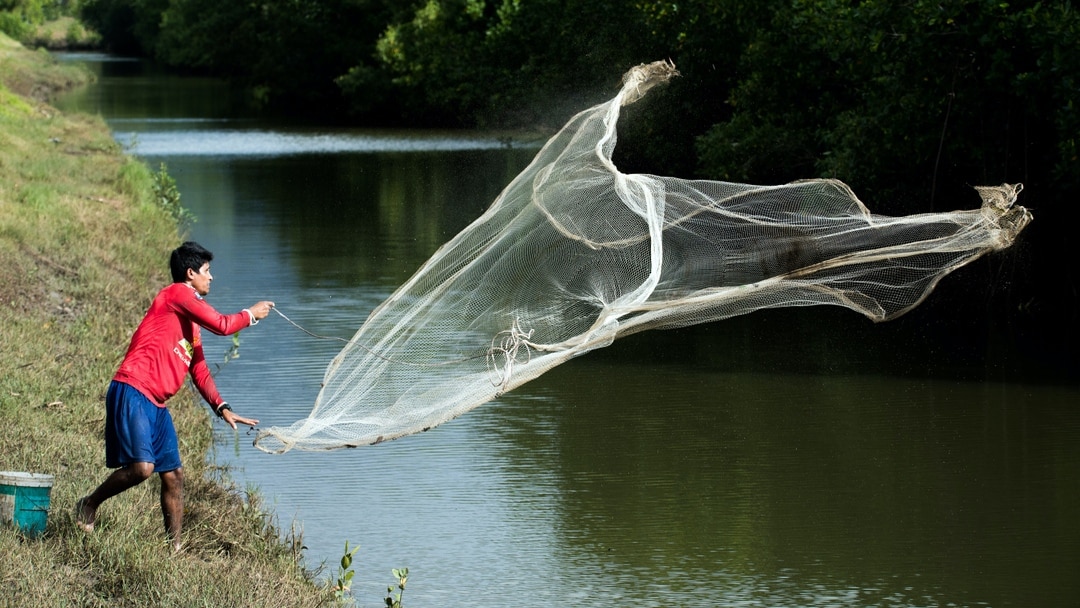 Sermon Illustrations on Fishing
