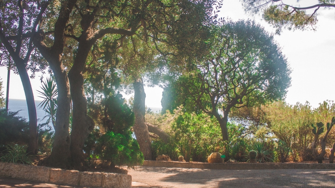 Sermon Quotes on the Garden of Eden